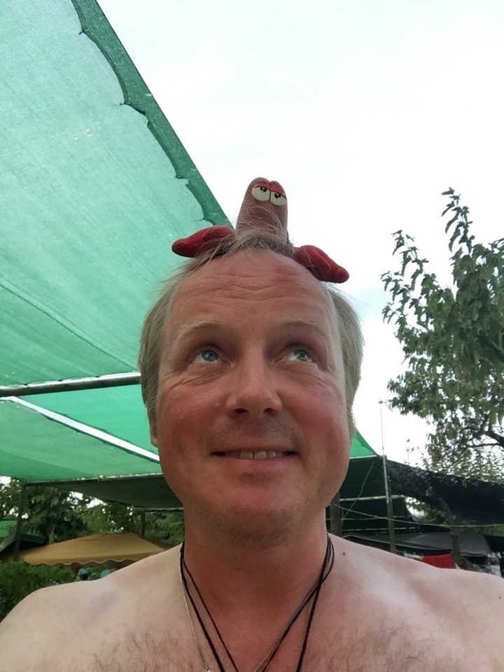 Lobster on my head, happens sometimes