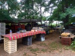 Setting up for open farm day and market