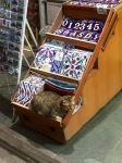 Lots of cats in Istanbul, this one was pretty comfy