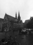 In B&W, Rathaus with Cathedral on background, Ulm