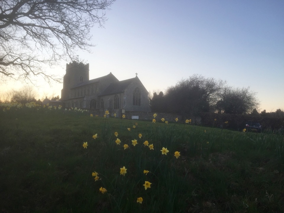 Daffodils and church in Ringland