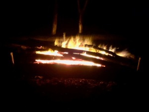 Long log fire burning merrily