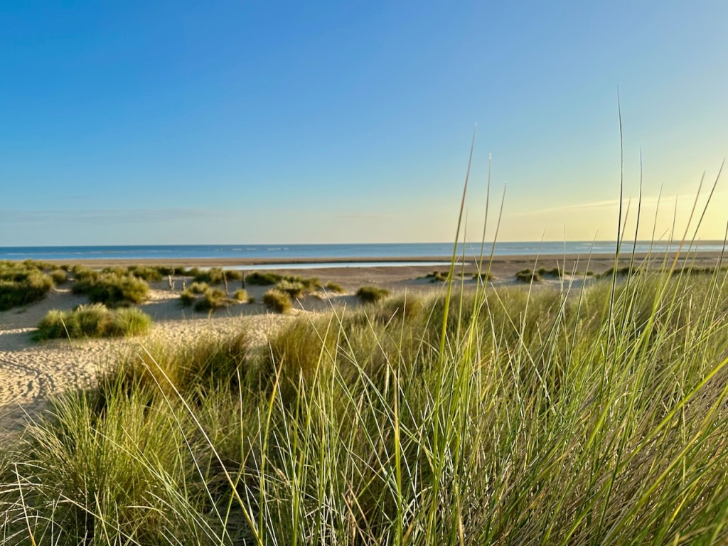 There were quite a few people sleeping in the Marram Grass